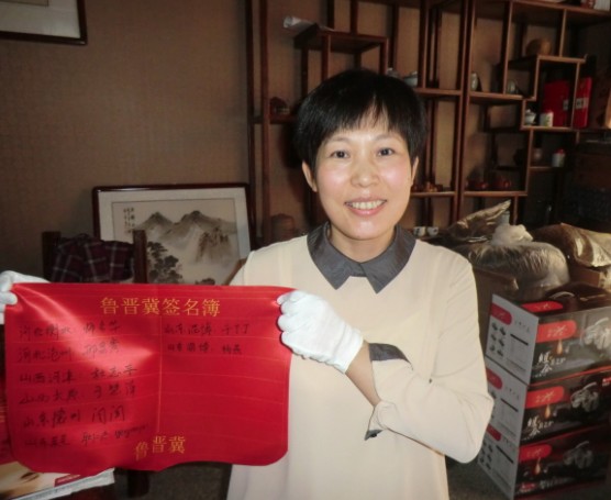 逆风飞翔的燕子