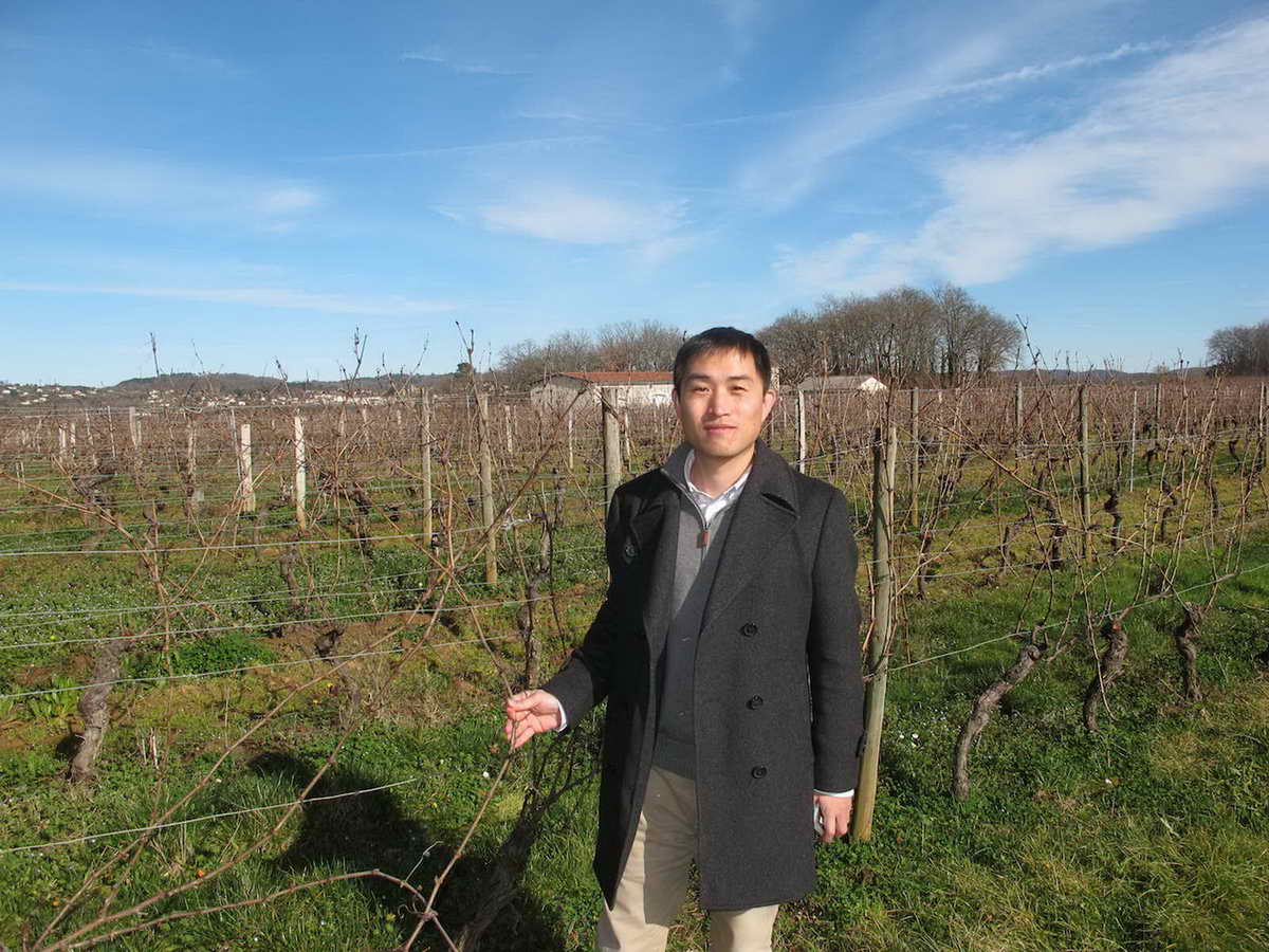 法国波尔多Chateau Palmer 葡萄园中