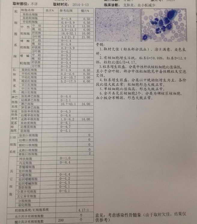3.13骨穿报告.jpg