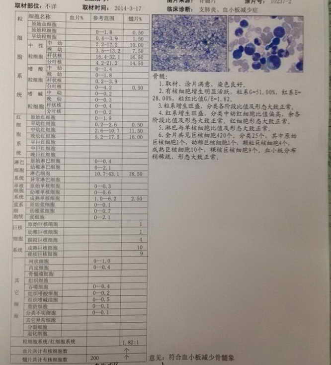 3.17骨穿报告.jpg