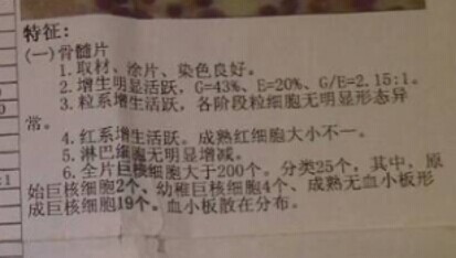 骨穿报告结果