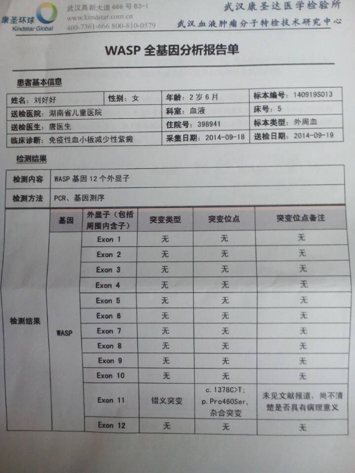 wasp全基因分析报告单1.jpg