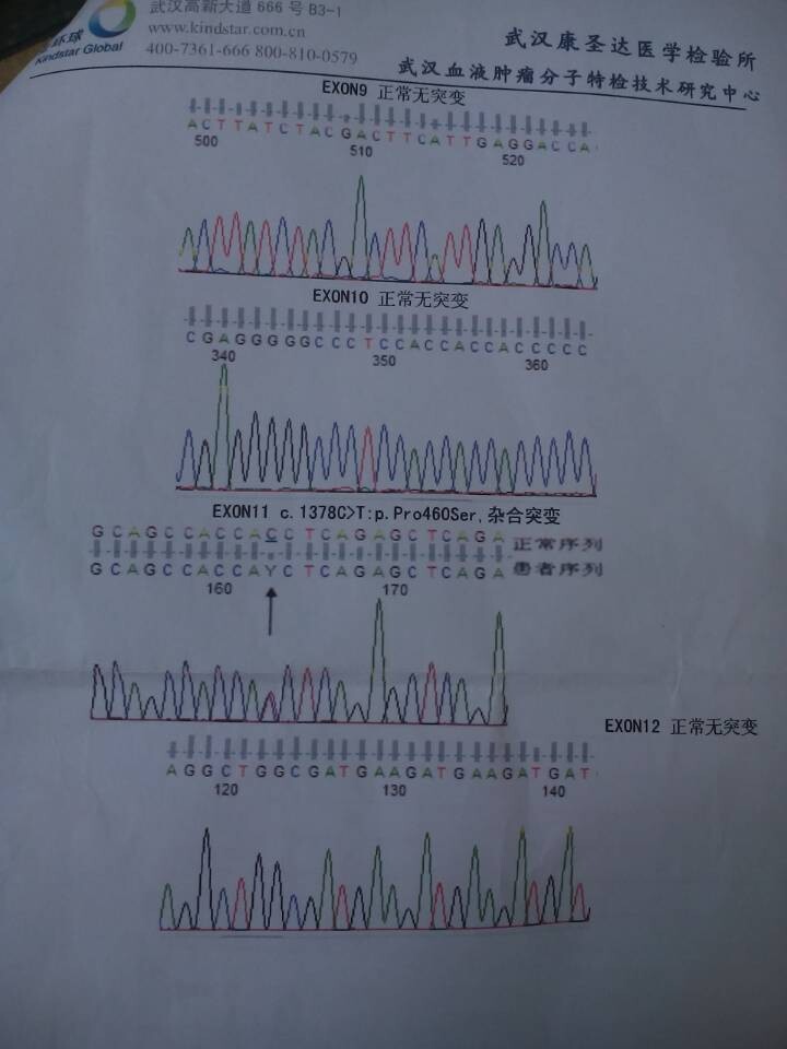 wasp全基因分析报告单4.jpg