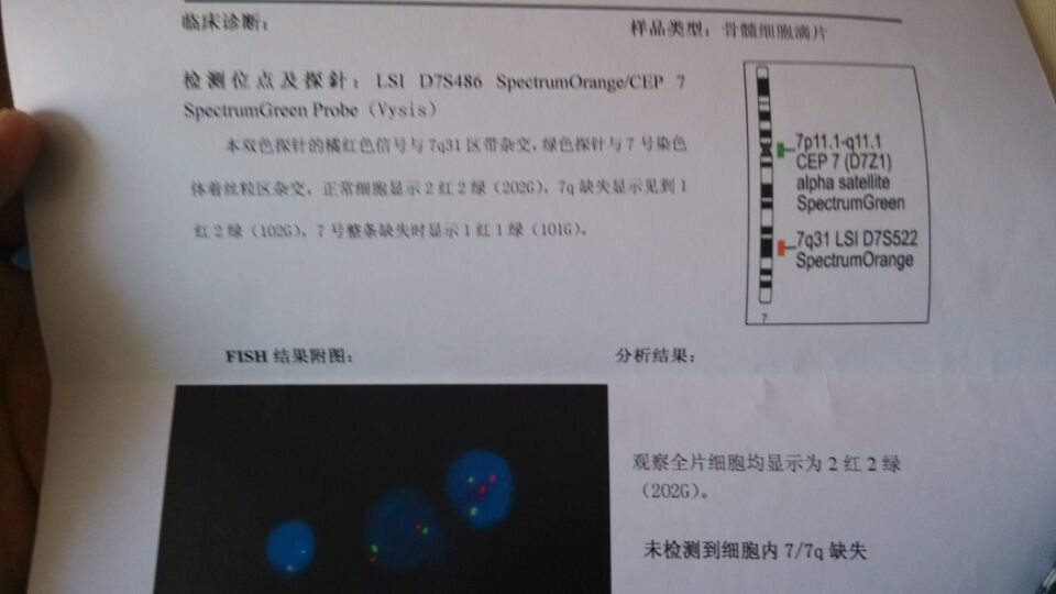 7 7q缺失检测.jpg