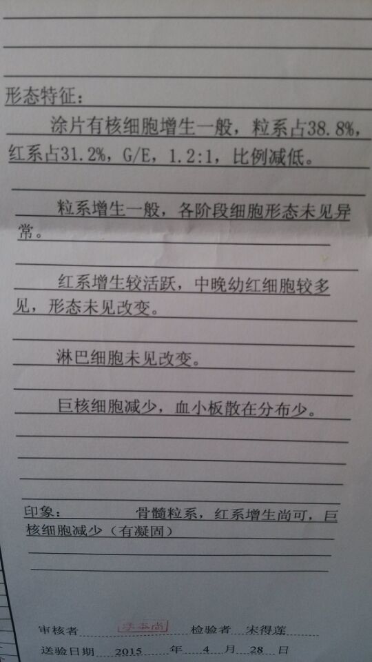 骨髓检验报告.jpg