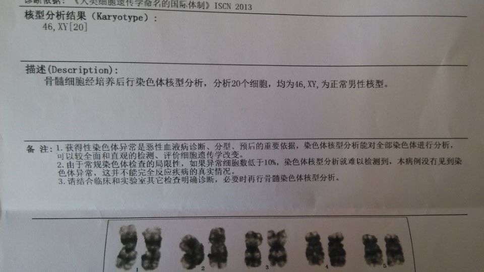 染色体分析.jpg