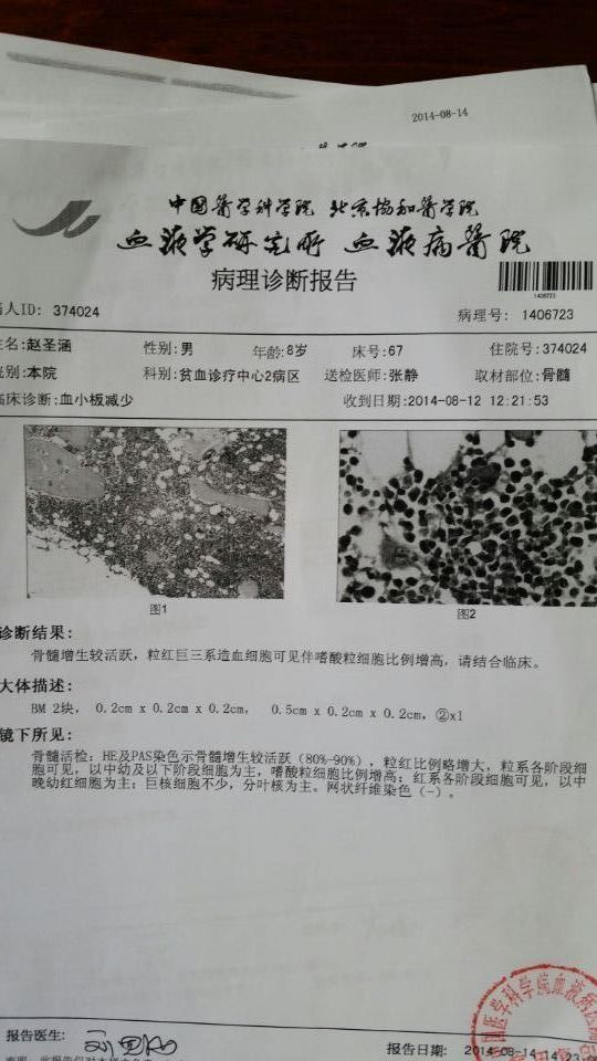 2014.8.12日病理诊断报告：
