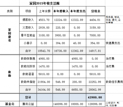 2015年总账.png