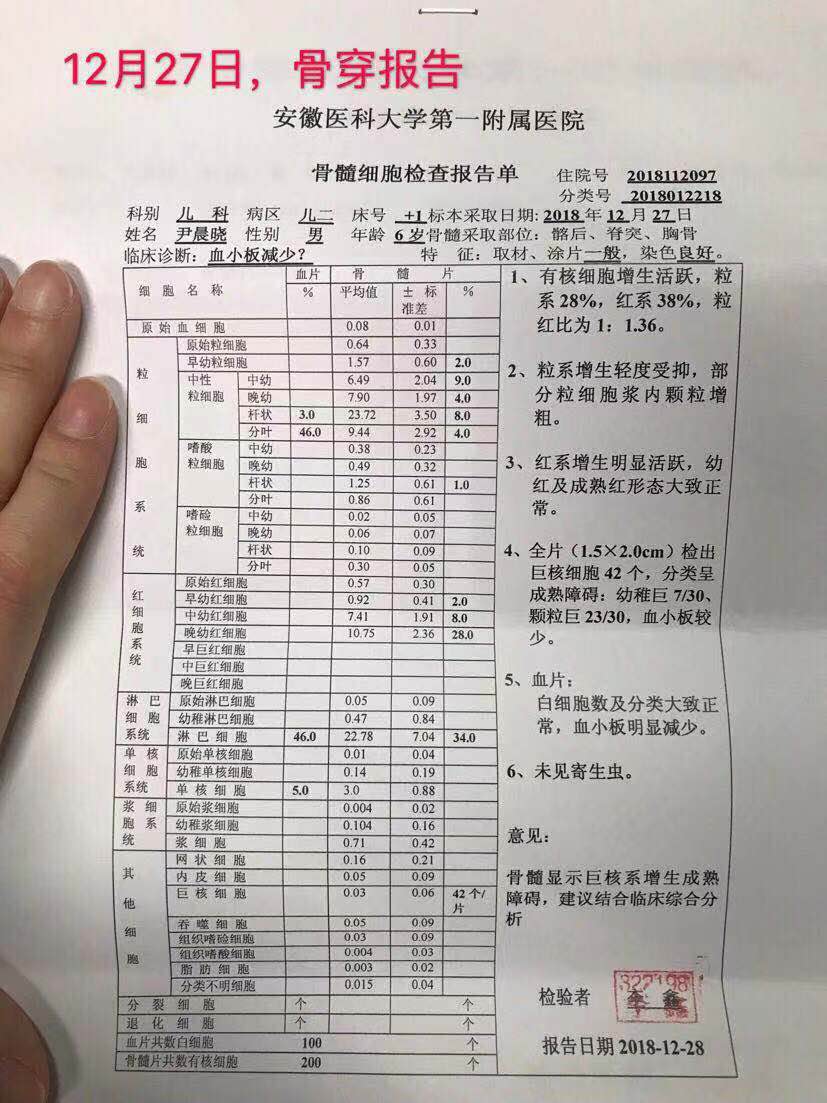 第一次骨穿报告
