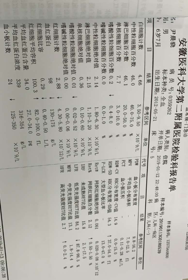 1.13号血常规