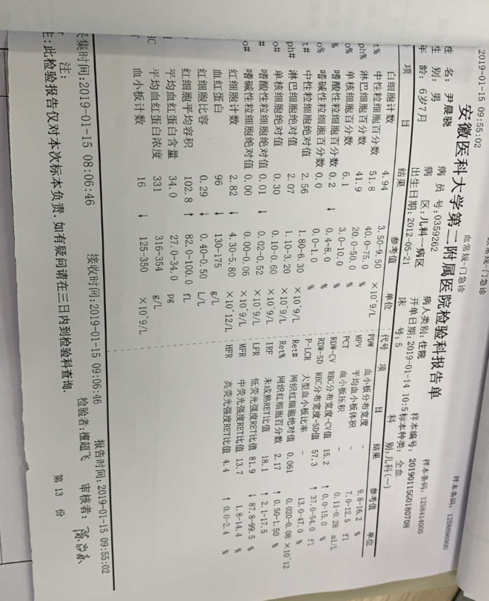 1.15号血常规