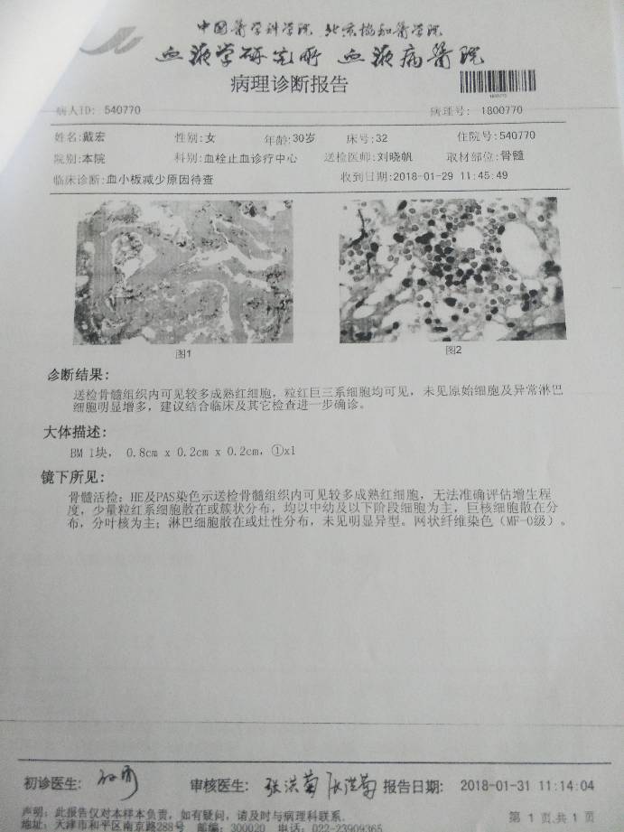 173720cjijoqlqttoojl6o.jpg