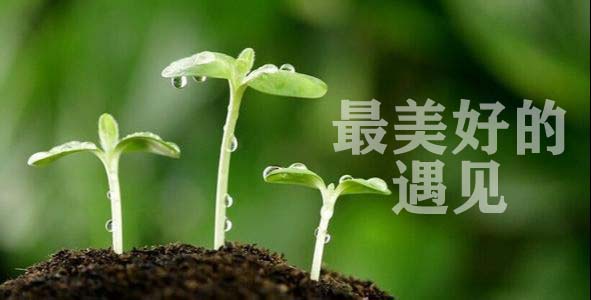 8ab9d729b0cf95f6683e9ed7033bbc4ea6ebb66f.jpg