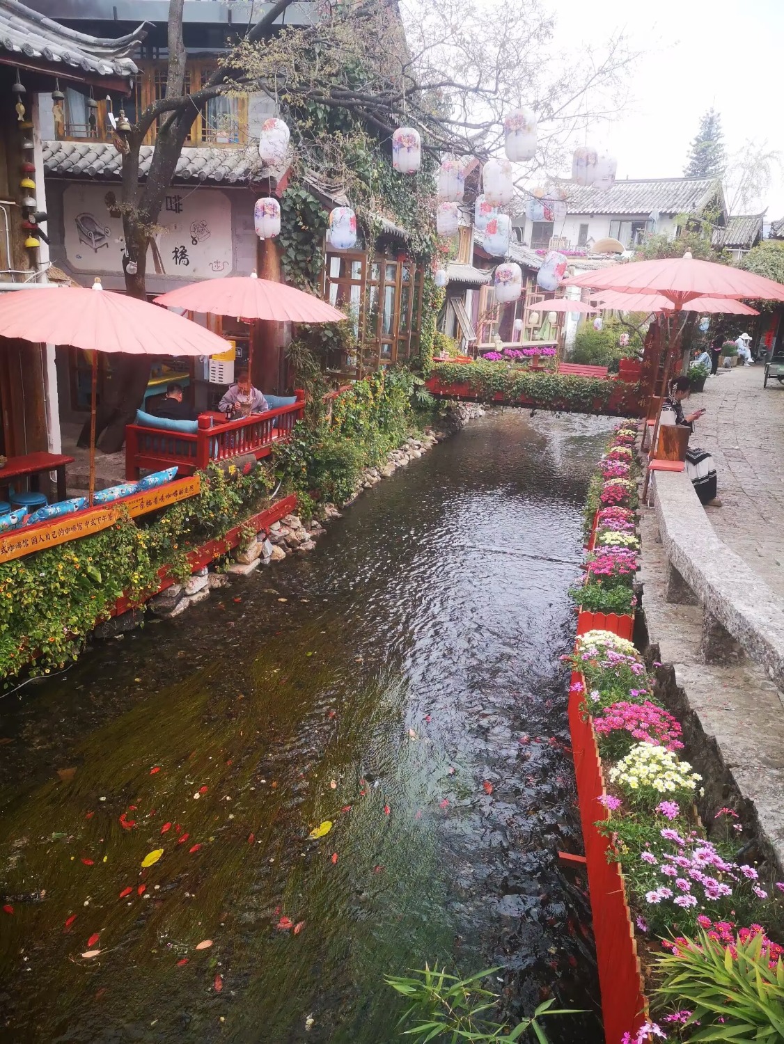Image_274230201693572.jpg