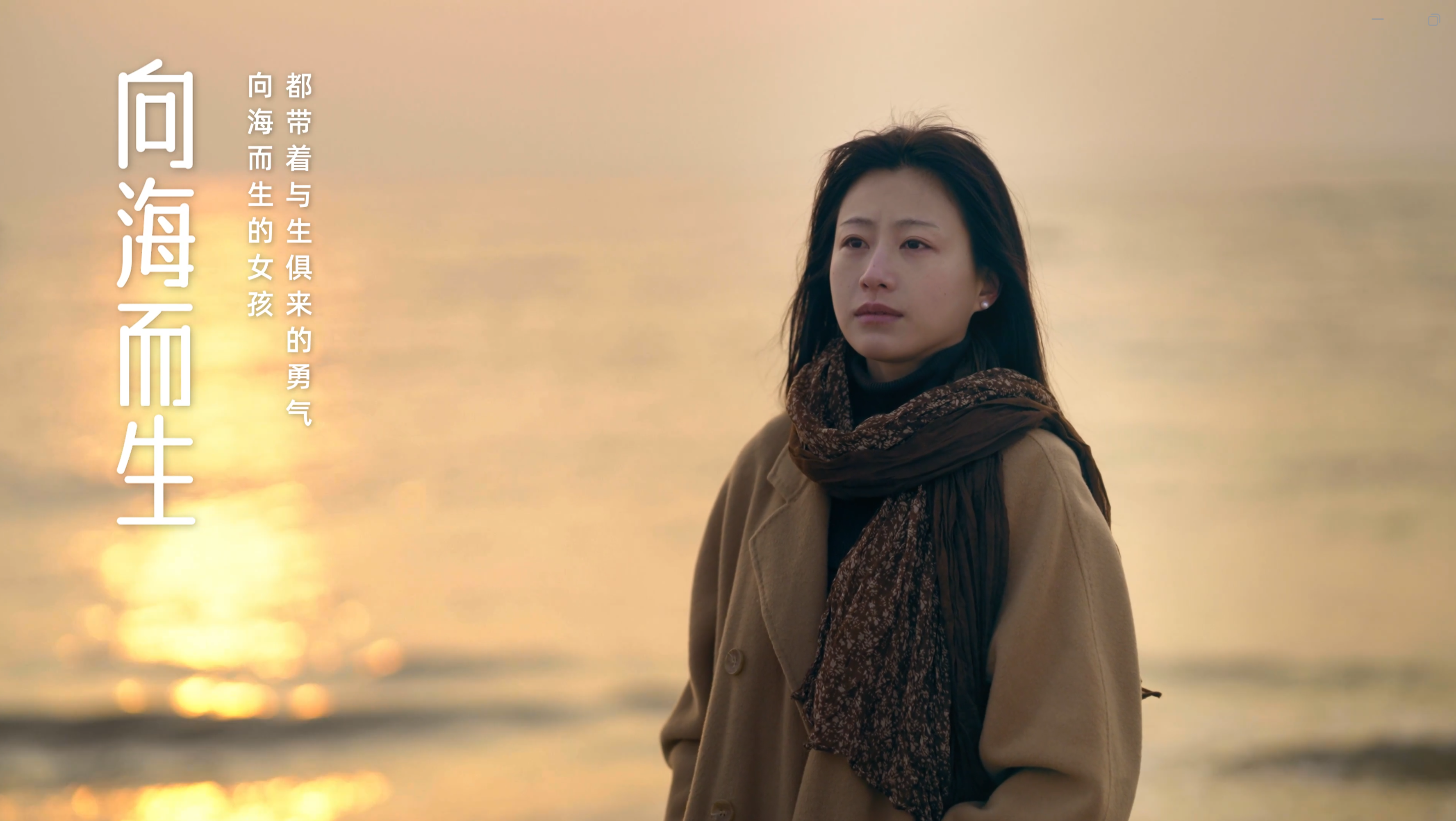 向海而生-宣传2