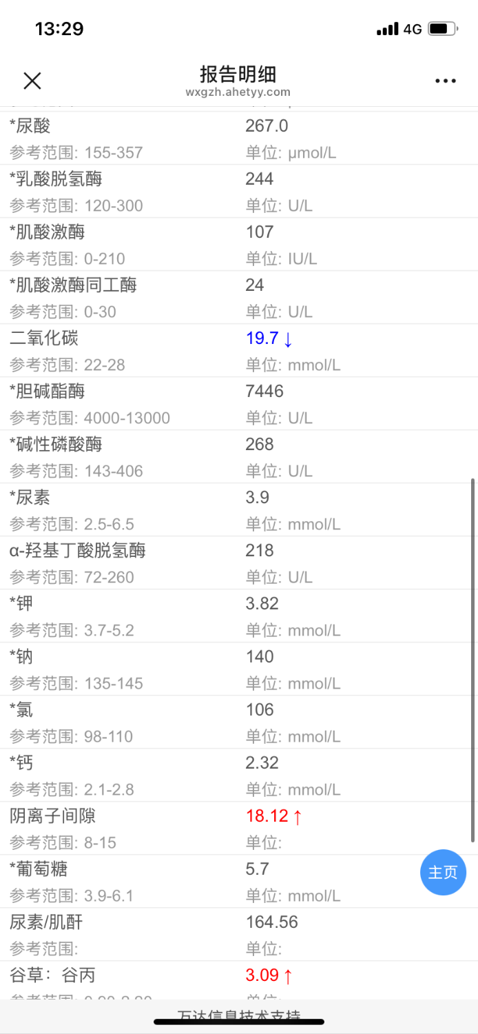 IMG_9958.png