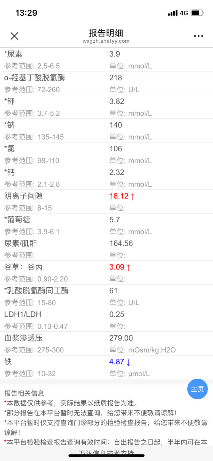 IMG_9959.png