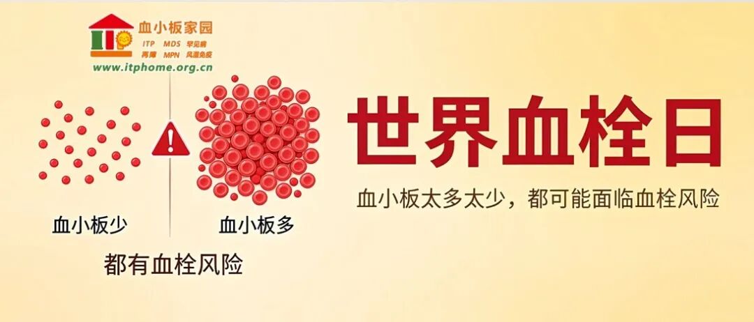 1c1a9b71-60ef-41b5-b44f-665d487ea9e7.jpg